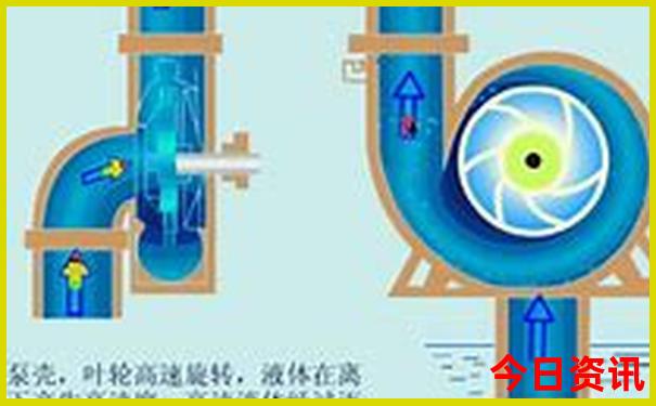 日照游玩攻略哪个地方最好玩
